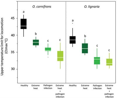 Extreme heat alters the performance of hosts and pathogen